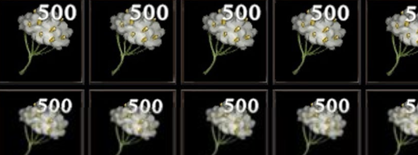 US Bans Chinese “Genocide Cotton”